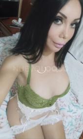 Gatita trans