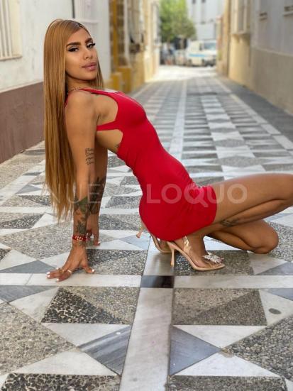 NuevoLoquo4