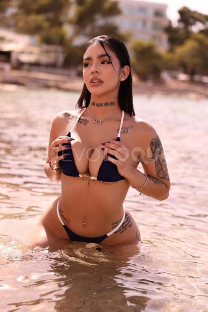 NuevoLoquo2