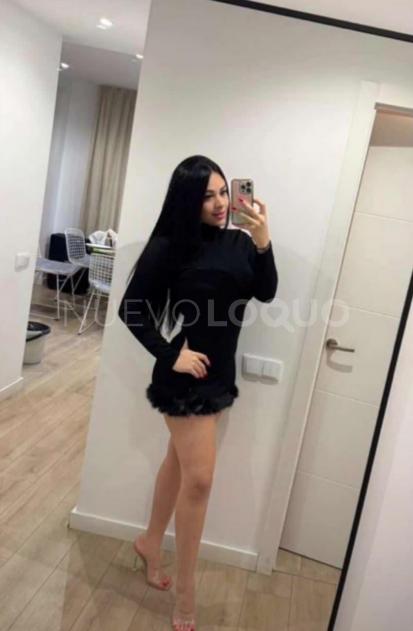 NuevoLoquo3