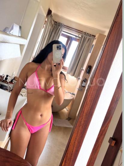 NuevoLoquo2