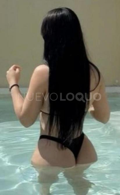 NuevoLoquo2