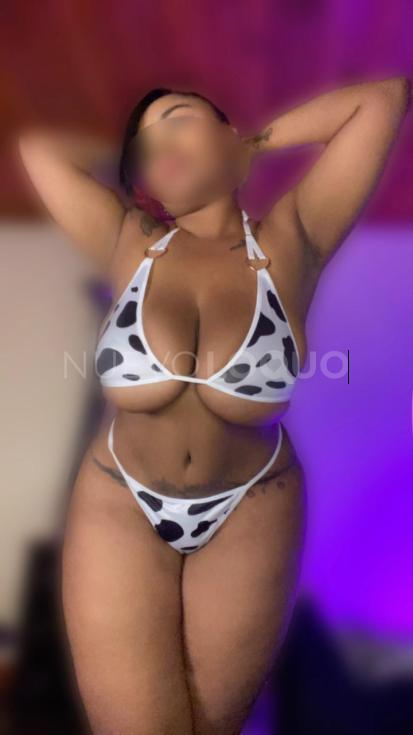 NuevoLoquo4