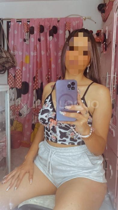 NuevoLoquo3