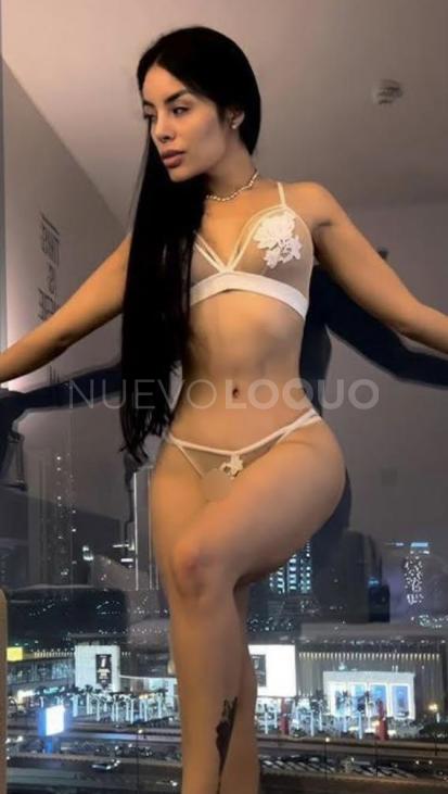 NuevoLoquo5