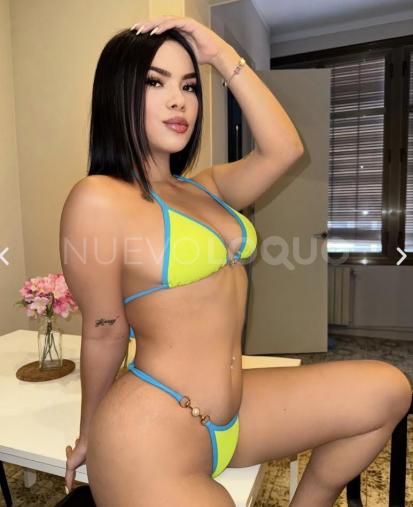 NuevoLoquo3