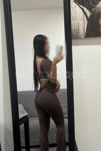 NuevoLoquo3