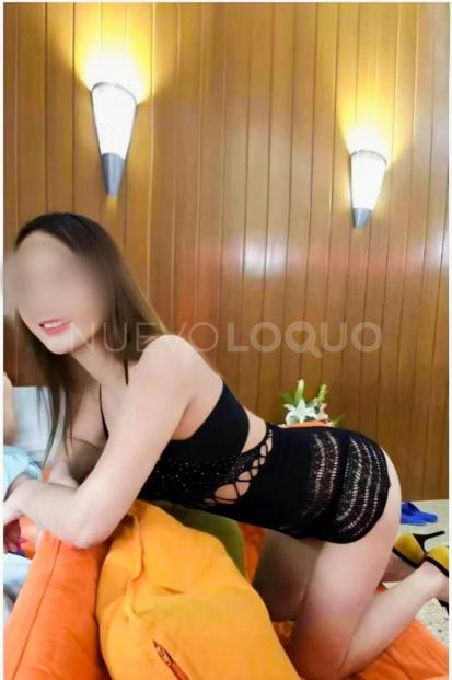 NuevoLoquo3