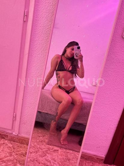 NuevoLoquo3