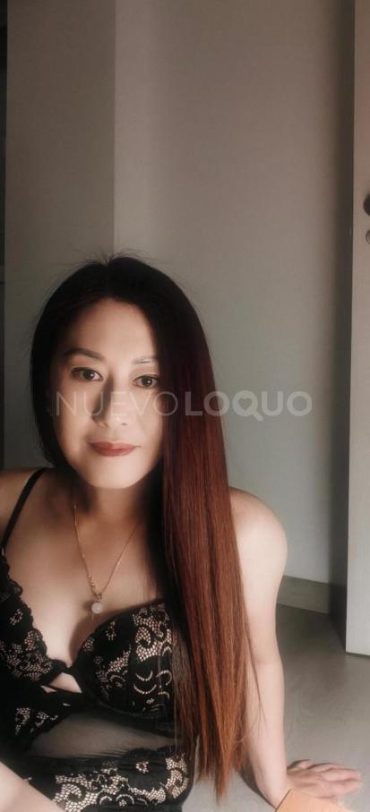 NuevoLoquo3