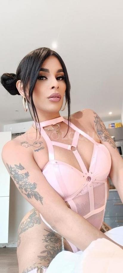 NuevoLoquo3