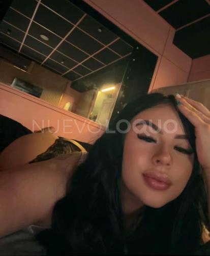 NuevoLoquo3