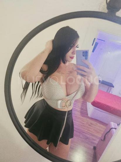 NuevoLoquo3