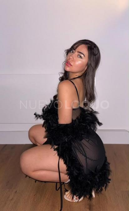 NuevoLoquo4