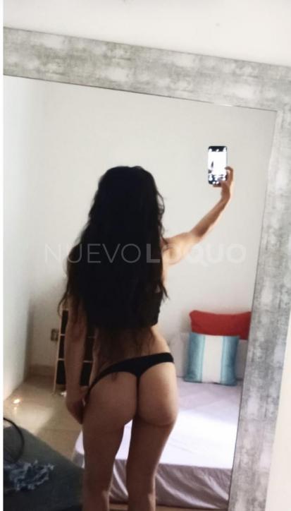 NuevoLoquo3