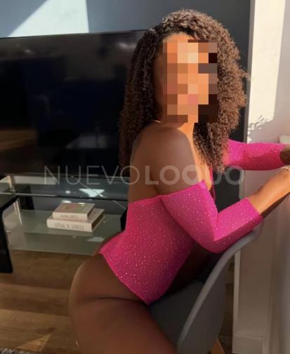 NuevoLoquo3