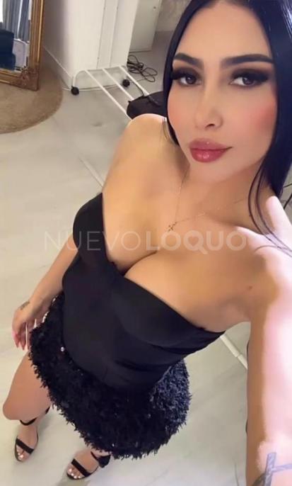 NuevoLoquo1