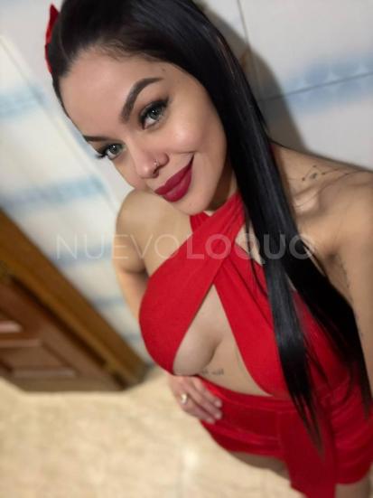 NuevoLoquo1