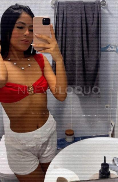 NuevoLoquo2