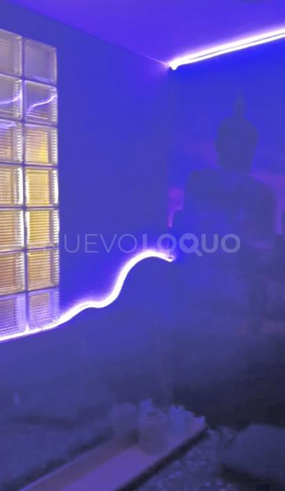 NuevoLoquo3