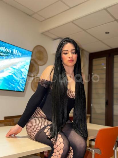 NuevoLoquo1
