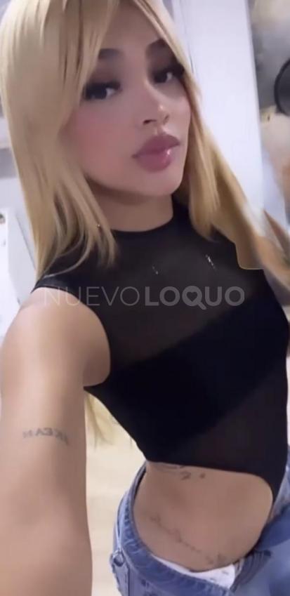 NuevoLoquo2
