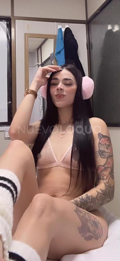 NuevoLoquo5