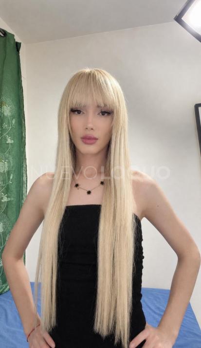 NuevoLoquo3