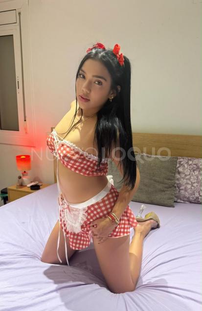 NuevoLoquo3