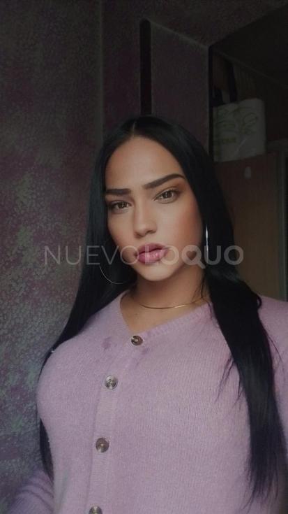 NuevoLoquo3