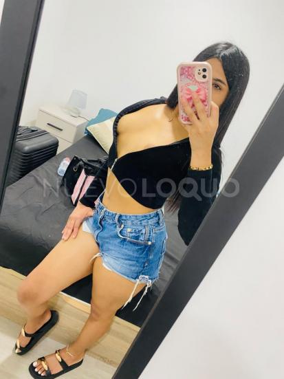 NuevoLoquo2