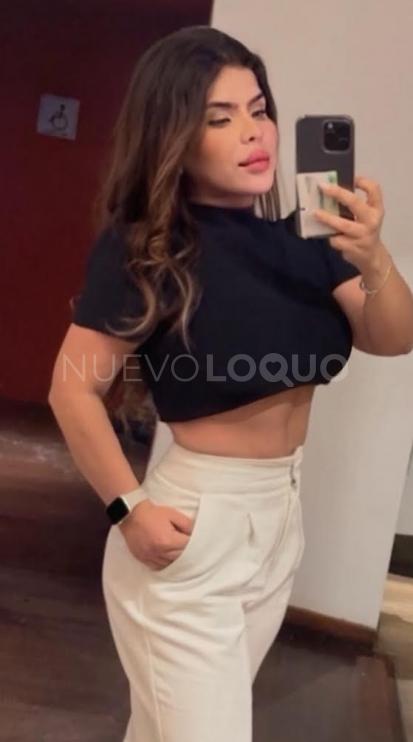 NuevoLoquo3