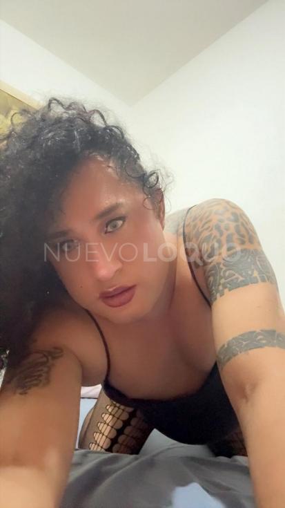 NuevoLoquo0