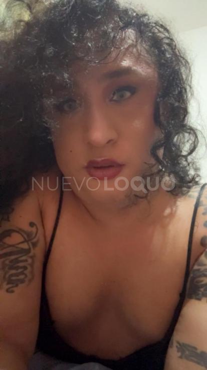 NuevoLoquo5