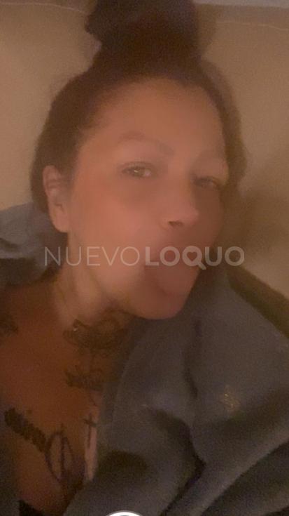 NuevoLoquo1
