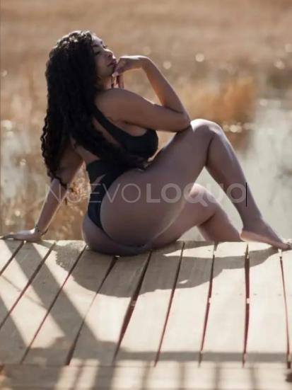 NuevoLoquo3