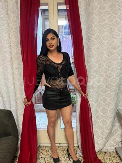 NuevoLoquo3