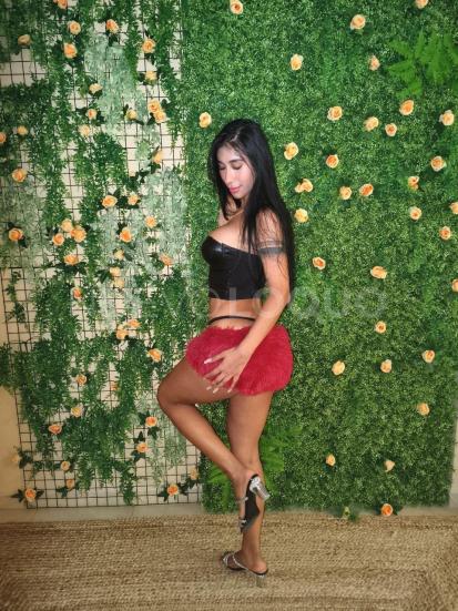 NuevoLoquo5