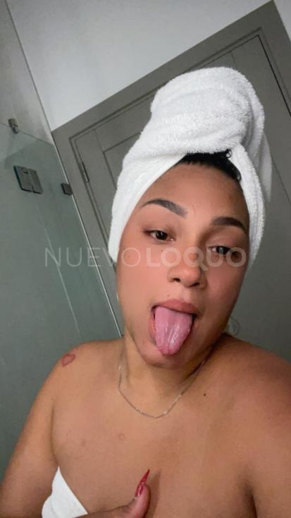 NuevoLoquo2
