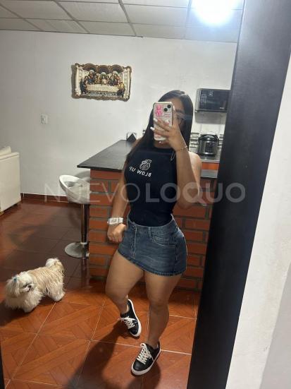 NuevoLoquo4