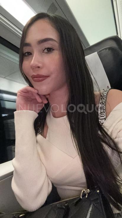 NuevoLoquo2