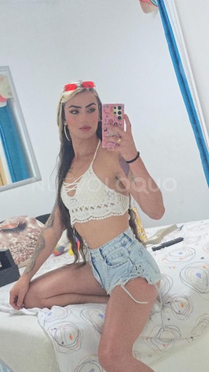 NuevoLoquo4