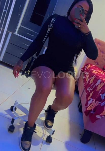 NuevoLoquo2