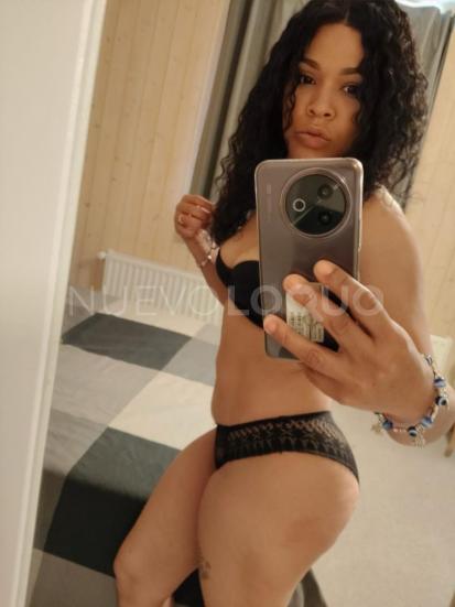 NuevoLoquo1