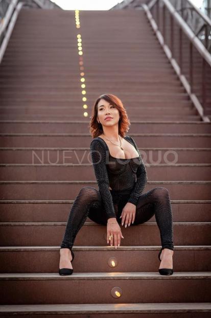 NuevoLoquo3