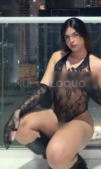 NuevoLoquo1