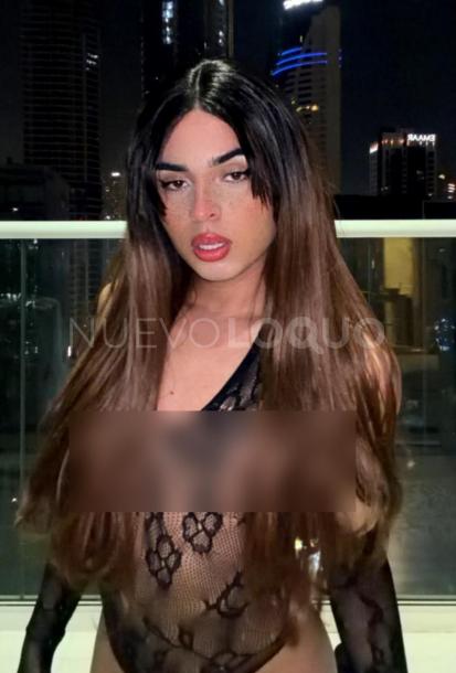 NuevoLoquo4