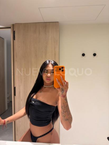 NuevoLoquo2