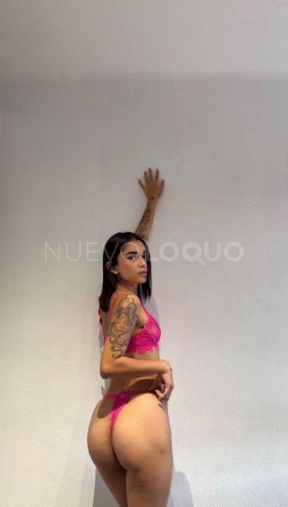 NuevoLoquo2