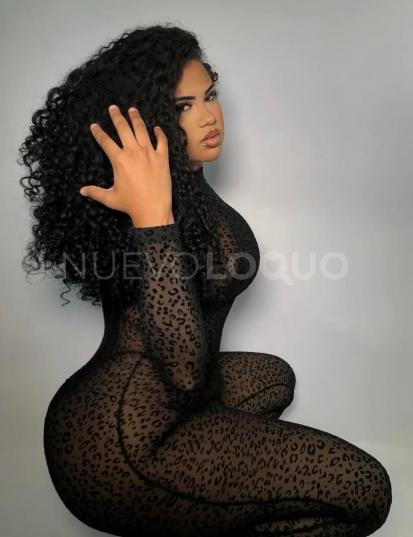 NuevoLoquo2
